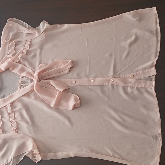 Sheer Blouse - Picture 3 of 5